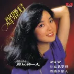 Pochette 甜蜜蜜
