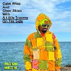 Pochette Calm Wind and Clear Skies With a Little Trauma on the Side