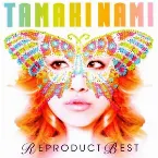 Pochette Reproduct Best