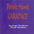 Pochette Pendle Hawk Carapace