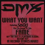 Pochette What You Want / Fame