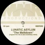 Pochette The Meltdown