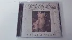 Pochette Paint the Sky With Stars: The Best of Enya