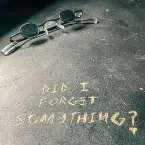 Pochette Did I Forget Something?