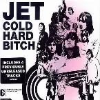 Pochette Cold Hard Bitch