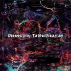Pochette Disarray