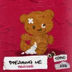Pochette Breaking Me (Remixes)