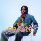 Pochette double luxury