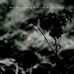 Pochette Seven Sorrows