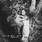 Pochette Mingle in Pine