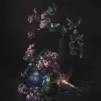 Pochette La Bohème