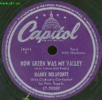 Pochette How Green Was My Valley / They Didn’t Believe Me