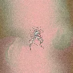 Pochette Free Radicals