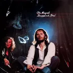 Pochette Straggel och strul