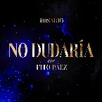 Pochette No dudaría