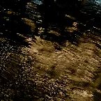 Pochette Toki ni wa Haru no Arashi no Youni (Feiertage, die niemals ruhen)