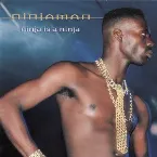Pochette Ninja Is Ninja