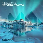 Pochette Tiny Little Molecule