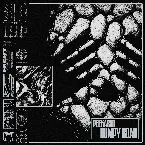 Pochette Bumpy Road