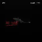 Pochette No Wave