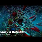 Pochette Beauty & Beholder (Derby Tomhills remix)