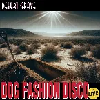 Pochette Desert Grave (Live)