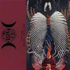 Pochette Bear Bones Lay Low / Superskin