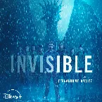 Pochette Invisible