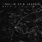 Pochette Pollen and Leaves (Forest Quadrology)