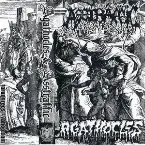 Pochette Agathocles / Asstraffic