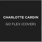 Pochette Go Flex (Cover)