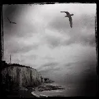 Pochette Streams of Consciousness