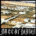 Pochette 113: The Light Higher Than Eyesight