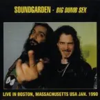 Pochette Big Dumb Sex: Live in Boston Jan 1990