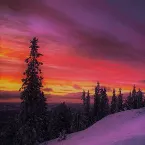 Pochette Afterglow