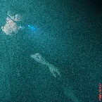 Pochette Another Monday