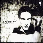 Pochette Betrayed by Daylight