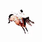 Pochette Discography 2016–2018