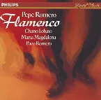 Pochette Flamenco