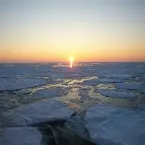 Pochette 奇跡の恵み