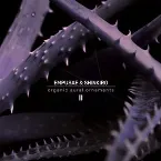 Pochette Organic.Aural.Ornaments II