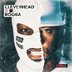 Pochette Virus