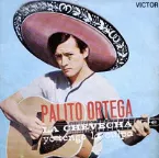 Pochette La chevecha / Yo tengo la culpa