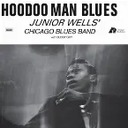 Pochette Hoodoo Man Blues