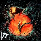 Pochette State of Disaster