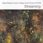 Pochette Streaming