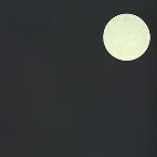 Pochette Blank Walls