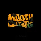 Pochette Just Like Me