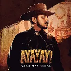 Pochette AYAYAY!
