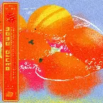 Pochette Orange Sunshine Project